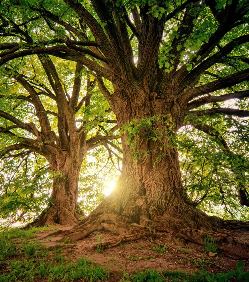 pour energies soins energetiques